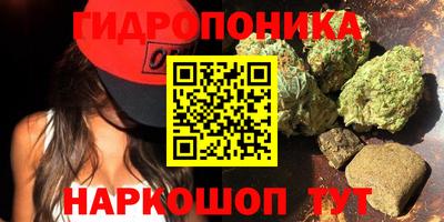 ГАЛЛЮЦИНОГЕННЫЕ ГРИБЫ Коммунар