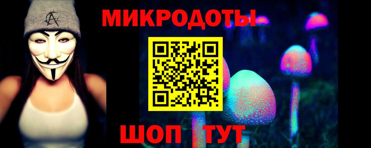 Изобильный  Галлюциногенные грибы Psilocybine cubensis  Вход с VPN  Псилоцибиновые грибы Psilocybine cubensis 